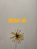 The Urchin — Motor Oil — 5-Pack Jar — additional product photo
