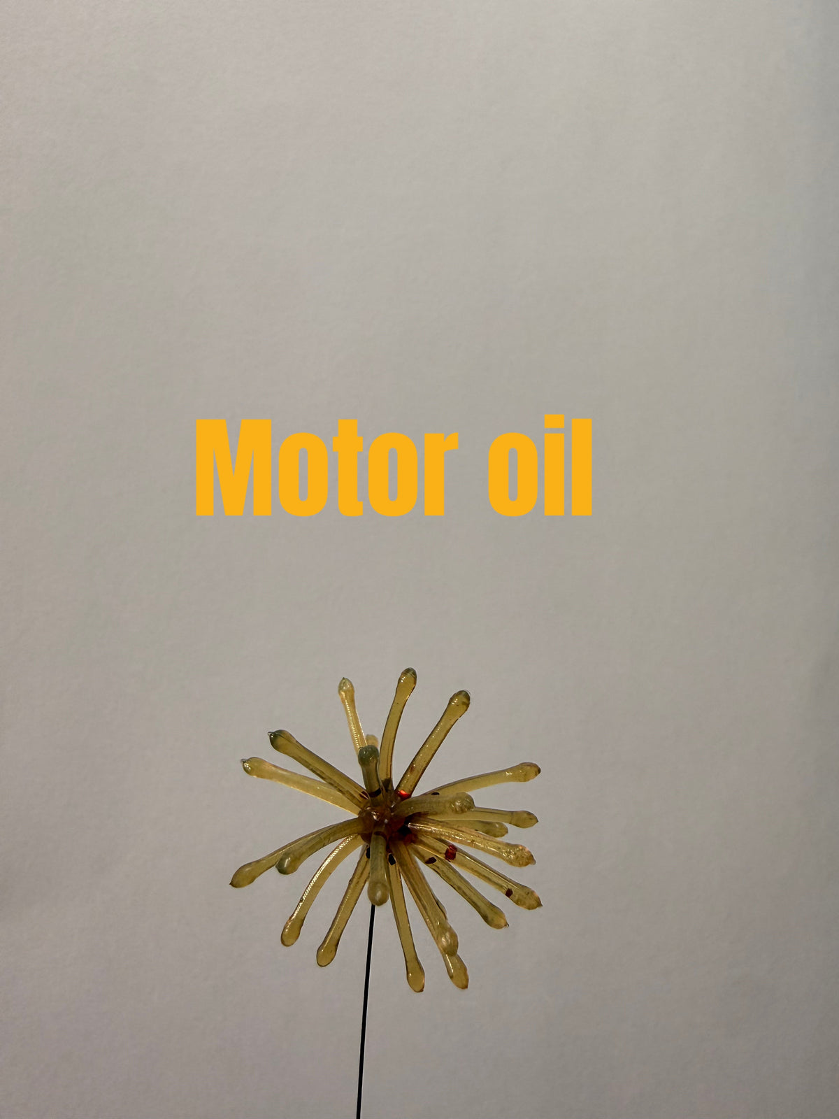 The Urchin — Motor Oil — 5-Pack Jar — additional product photo